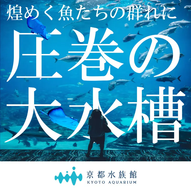 京都駅 公園の中の水族館